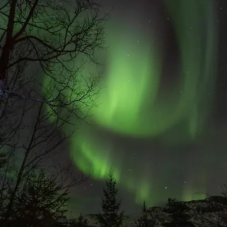 Cool Cabins, Sandhornøy Campingplasser